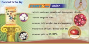 onion fertise