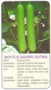 bottle gourd gutka lockey seed 