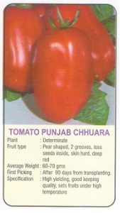 tomato punjabi chhuhara
