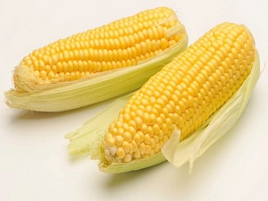 Baby Corn Through Contract Farming