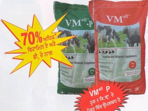 Vitamin and mineral feed supplement for ruminants