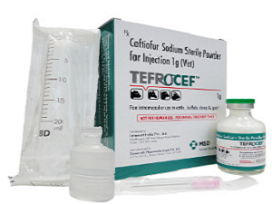 TEFROCEF™ For intra muscular injection in cattle,buffaloes,sheep and goat
