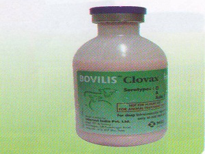 Bovilis Clovax Inactivated Foot and Mouth Disease vaccine
