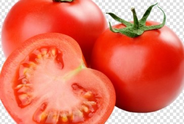 Tomato (Tamatar) ki kheti kaise  karen