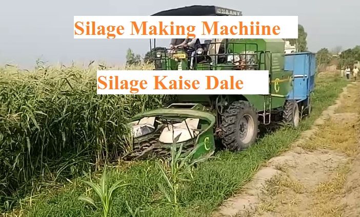 How to Make Silage | Silage Making Machine
