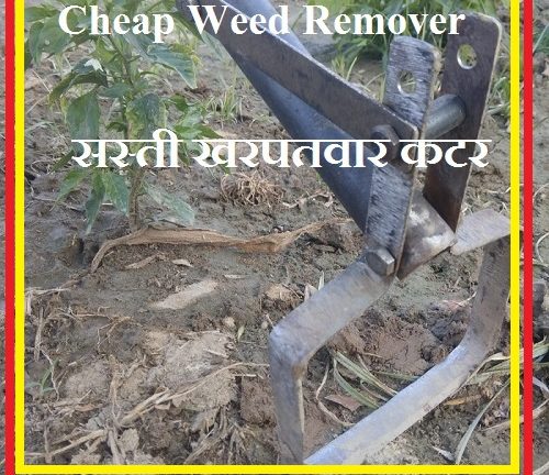 Cheap Weed Cutter || Grass Cutter || Ghaas Khatne Ki Machine