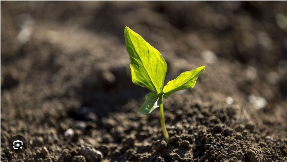 Harnessing the Power of Modern Kheti: Elevating Farming in India