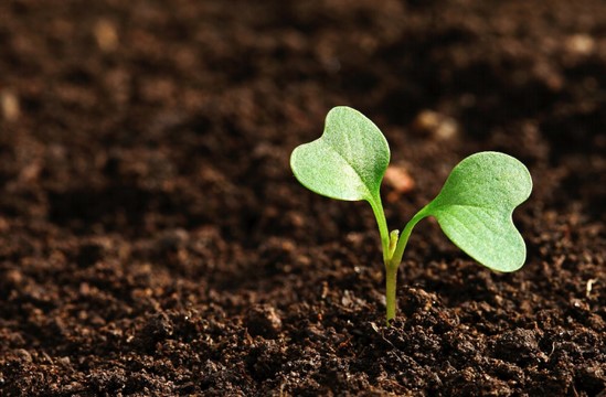 Transforming Indian Agriculture: A Guide to Sustainable Farming Practices