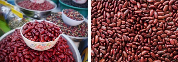 COMPREHENSIVE GUIDE TO RAJMAH (KIDNEY BEAN) IN PUNJAB